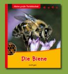 die Biene - ein Kindersachbuch