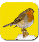 App - Vögel füttern und erkennen
